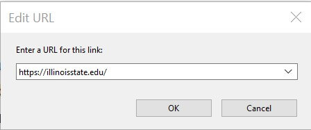 Screenshot of the Edit URL dialog with web URL.