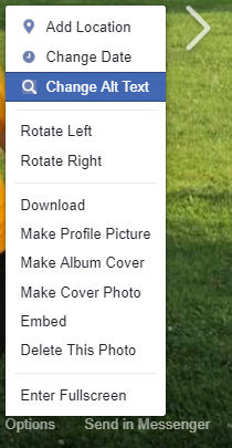 Options Menu for a Facebook Image.