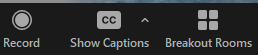 Show captions button 