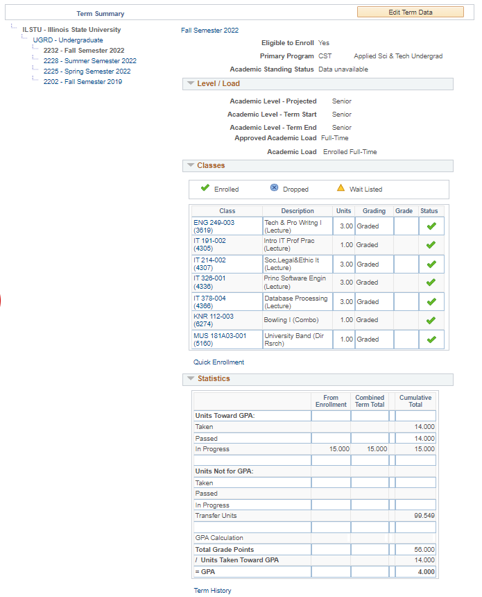 Image of the Term Summary section