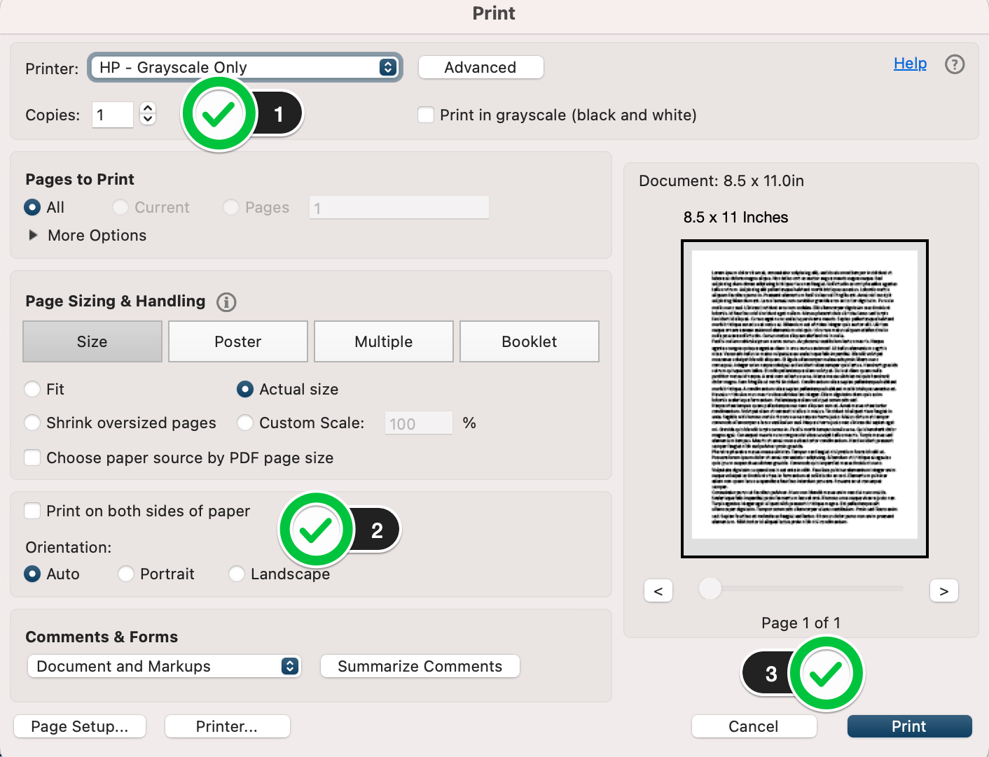 Image of Print screen with HP-Grayscale Only printer choice