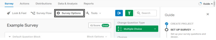 Screenshot depicting the Survey Options tab within Qualtrics Survey